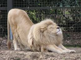 stretch