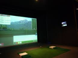 Simulation
