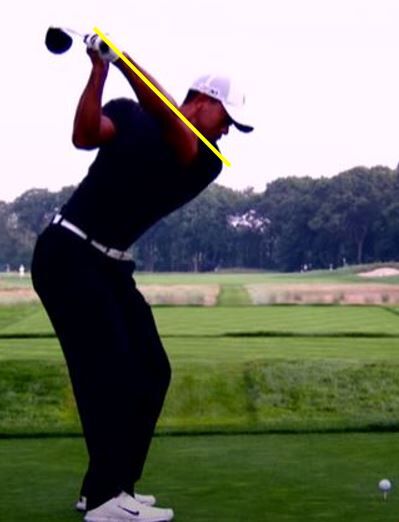 tiger_top3