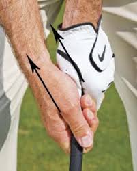 grip_v
